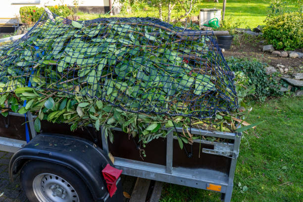 Best Electronics and E-Waste Disposal  in Union Grove, WI